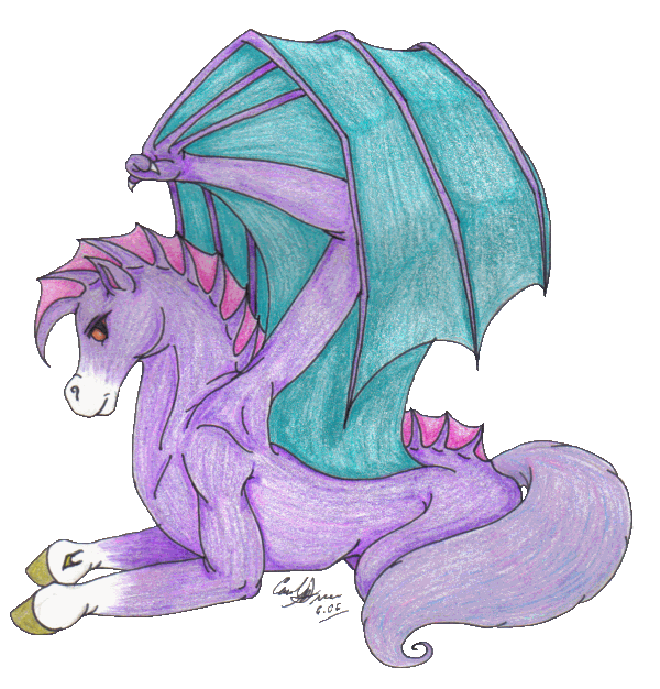 Callidora